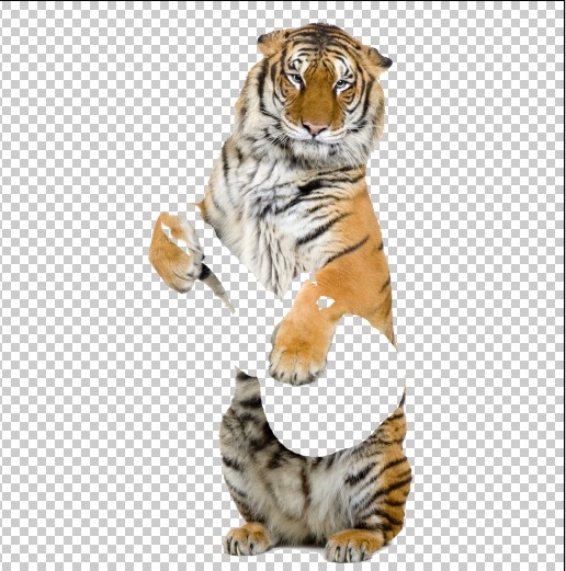Creation of Self Rehearsal: Step 3